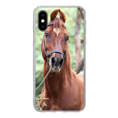 Produktbild von MuchoWow® Handyhülle Schutzhülle Hülle für iPhone X Pferd - Wald - Halfter Silikon Softcase Handy Hülle - Handyhülle