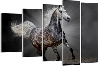 Produktbild von Bild auf Leinwand - Leinwandbild - Pferd Tier Natur - 150x100cm - Wand Bild - Wanddeko - Leinwanddruck - Bilder - Kunstdruck - Wanddekoration - Leinwand bilder - Wandkunst - EG150x100-3593