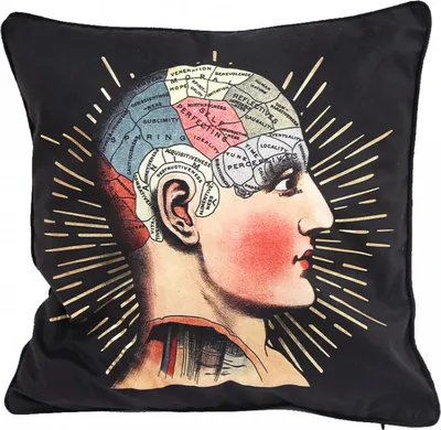 Produktbild von Phrenology Kopf Sofakissen mit Goldprint 40x40cm
