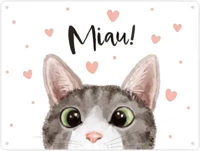 Produktbild von Miau Katze Metallschild XXL in 28x38 cm