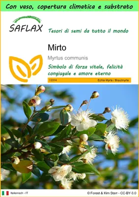 Immagine prodotto di SAFLAX Garden to go - Mirto - 30 semi - Myrtus