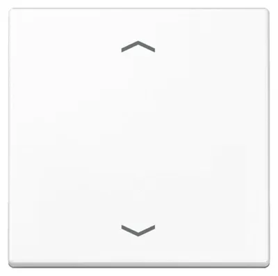 Image de Symboles de bascule blanc alpin pour les boutons - Plaque de recouvrement pour les stores blanc A 590 P WW