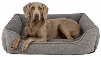Image de lionto Canapé pour chiens, lit moderne pour chiens avec dessous antidérapant, housse amovible & intérieur en peluche, 110x80 cm, gris
