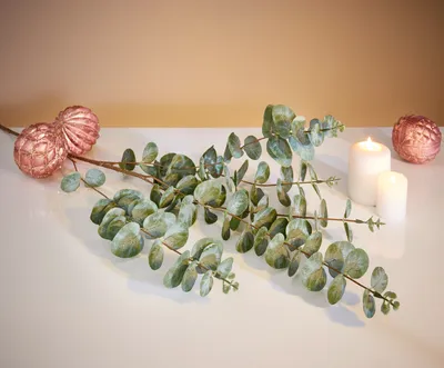 Produktbild von Deko-Zweig Eukalyptus 2er Set Ast Blätter – Kunst-Pflanze