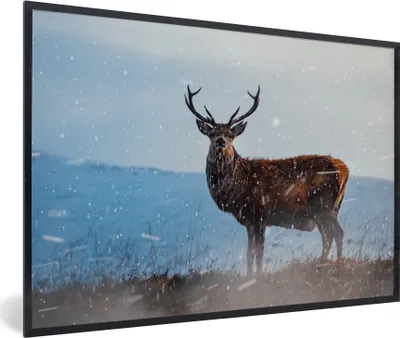 Produktbild von MuchoWow® MuchoWow® Gerahmtes Poster Hirsche auf der verschneiten Heide 90x60 cm - Poster mit zchwarzem Bilderrahmen - Fotorahmen - Foto-Plakat