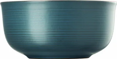 Image de Thomas Schüssel 24 cm Thomas Nature Ocean 21730-227080-63124