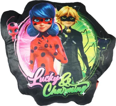 Produktbild von Miraculous Ladybug Cat Noir mini Velours Kissen Dekokissen 3D Cushion 30x30x7 cm