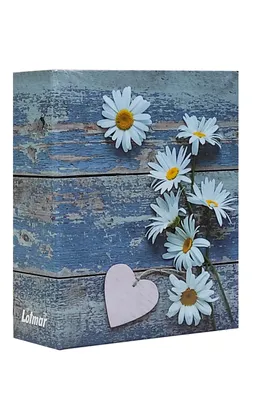 Produktbild von VMC ALBUM für 304 Fotos 10x15 cm. keine Beschreibung FLOWER HEART blau