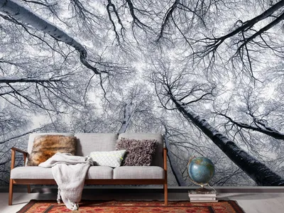 Produktbild von Komar Vlies Fototapete - Up - Größe: 400 x 250 cm (Breite x Höhe) - 4 Bahnen, Wohnzimmer, Schlafzimmer, Tapete
