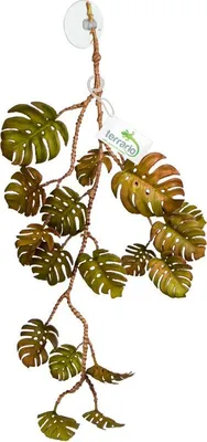 Produktbild von Terrario – Künstliche Pflanze für Terrarium – Hängende Monstera – 70 cm Terrario