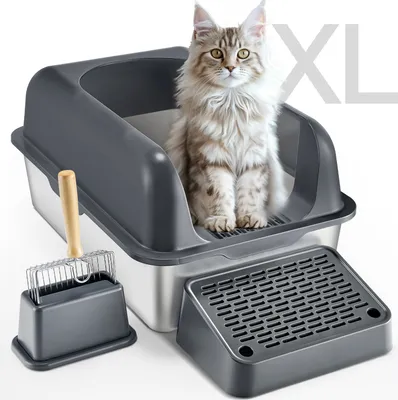 A large cat sits in a gray litter box with a scoop and a mat next to it.