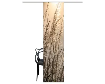 Produktbild von Schiebegardine Digitaldruck Caruso natur 60x245 cm