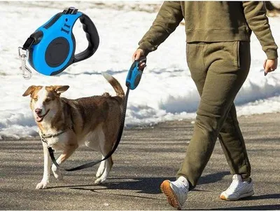 Immagine prodotto di Guinzaglio per cani - guinzaglio lungo estensibile, guinzaglio per cani, estensibile, guinzaglio per cani, guinzaglio da passeggio da 5 m
