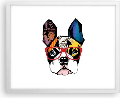 Produktbild von Gerahmtes Poster - Weißer Rahmen - Hund Brille Bunt Bulldogge - 50x40 cm - Wand Bild - Wanddeko - Wandbilder - Wandposter - Bilderrahmen - Bilder - Kunstdruck - Wandbild - P2WAA50x40-3206