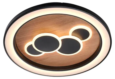 Zdjęcie produktu dla Lampa sufitowa LED ELIZA 6284-79 Paul Neuhaus