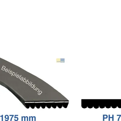 A product image showing a drive belt and its dimensions.