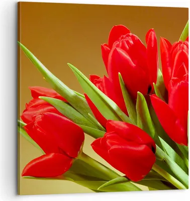 Produktbild von Bild auf Leinwand - Leinwandbild - Tulpen Blumen Feld Plantage - 60x60cm - Wand Bild - Wanddeko - Leinwanddruck - Bilder - Kunstdruck - Wanddekoration - Leinwand bilder - Wandkunst - AC60x60-0962