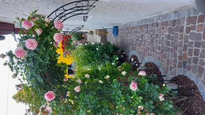 Produktbild von WANDROSENBOGEN HOLLAND Rund Gesamtbreite 1,80 m Edelrost Gartendeko Pergola Metallrosenbogen Gartenbogen Rosensäule