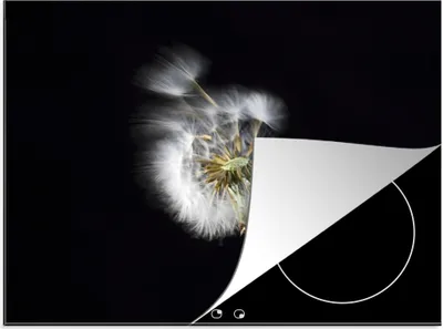 Produktbild von KitchenYeah© Herdabdeckplatte Eine Pollenblume auf schwarzem Hintergrund , 70x52cm, Küche Deko, Glaskeramikkochfeld Herdabdeckung, Abdeckplatte fùr Kochfeld