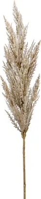 Produktbild von artplants.de Dekozweig Pampas Gras Rispe BATERNO, Creme, 90cm - Kunst Pampasgras/Künstliches Pampasgras