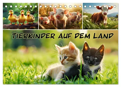 Produktbild von Tierkinder auf dem Land (Tischkalender 2027 DIN A5 quer), CALVENDO Monatskalender