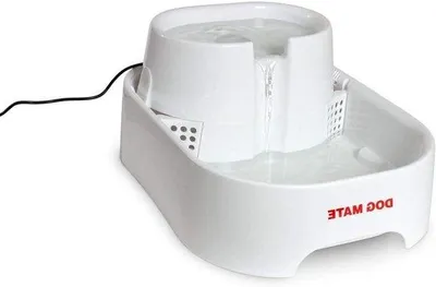 Produktbild von Trinkbrunnen, 6 Liter - Groß