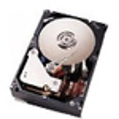 Produktbild von IBM 42D0627, Serial Attached SCSI (SAS), 300 GB, 6,35 cm (2.5")