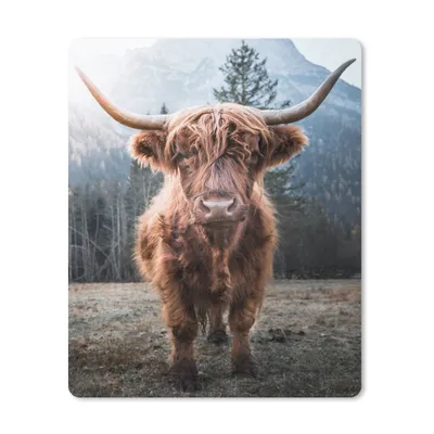 Produktbild von MuchoWow® Mauspad Mousepad Schottischer Highlander - Tiere - Porträt 30x40 cm - Mousepads - Maus Mat - Pad - Mausunterlage - Mausmatten