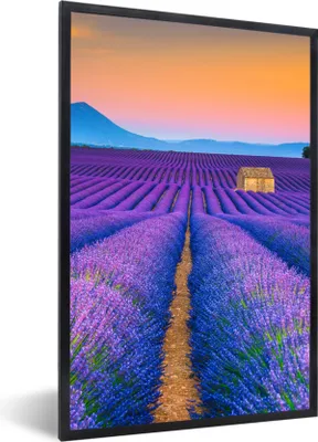 Produktbild von MuchoWow® Gerahmtes Poster Lavendel - Lila - Blumen 60x90 cm - Poster mit Schwarzem Bilderrahmen Wandposter Rahmen Foto Bilder - Kunst