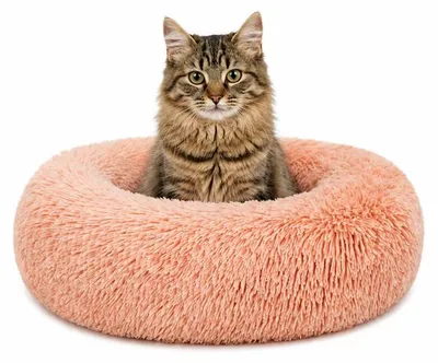 Produktbild von lionto Donut Katzenkissen, rundes Bett mit Plüschbezug & Anti-Rutsch-Boden, erhöhter Rand für Geborgenheit, 40 cm Durchmesser, rosa