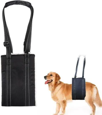 Imagen del producto de Ayuda para transportar perros en rehabilitación, correa con asiento para perros, transportín con elevador para las patas traseras