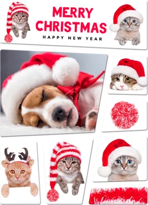 Produktbild von Frohe Weihnachten Hunde und Katzen 8er Kühlschrankmagnete Set Magnete Magnet