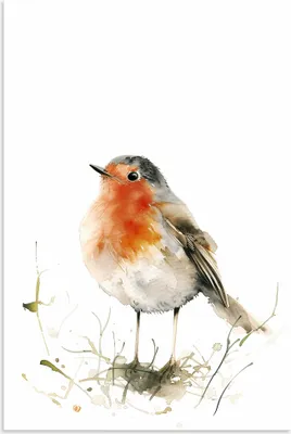 Produktbild von ARTland Wandbild Alu für Innen & Outdoor Aquarell Rotkehlchen Größe: 80x120 cm