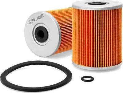 Image de Filtre à carburant Fleetguard Pour moteurs Yanmar Ff5070 One Size