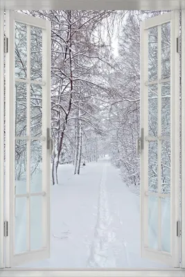 Produktbild von Wallario Poster mit Fenster-Illusion: Verschneiter Spazierweg, Größe: 61 x 91,5 cm (Maxiposter)