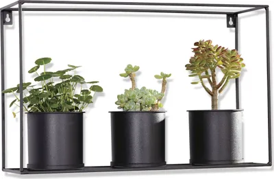 Produktbild von Metall Blumenregal mit 3 Pflanztöpfen schwarz 48x13,5x30 cm Pflanzregal hängend