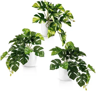 Produktbild von Famanu Kunstpflanze Monstera in weißem Keramiktopf - 20 cm hoch - hängende Pflanze für Innenräume