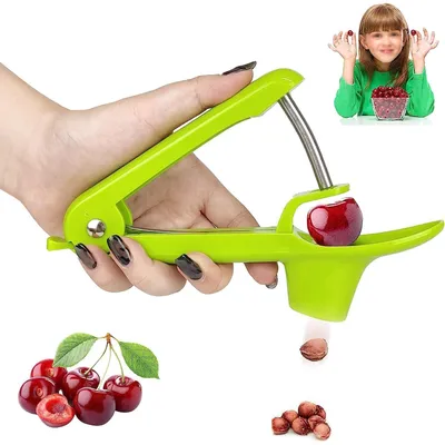 Productafbeelding van Kersenontpitter van roestvrij staal, handmatig en ergonomisch