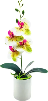 Produktbild von künstliche Pflanze ohne Wasser realistisch wetterresistente im Freien in der Innenstopf gefälschte Orchideenblume für Balkon-Grün