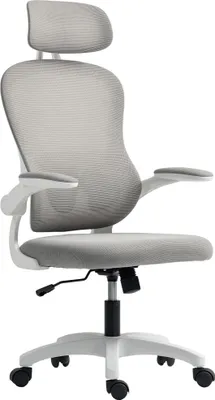 Produktbild von Ergonomischer Bürostuhl mit Netzstoff-Rückenlehne, höhenverstellbar, klappbare Armlehnen, 5 Rollen, Wippfunktion, Grau