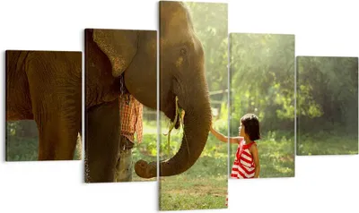 Produktbild von Bild auf Leinwand - Leinwandbild - Elefant Tier - 125x70cm - Wand Bild - Wanddeko - Wandbilder - Leinwanddruck - Bilder - Kunstdruck - Wanddekoration - Leinwand bilder - Wandkunst - EA125x70-3884