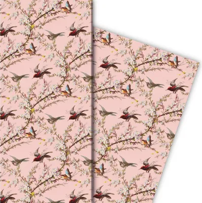 Produktbild von Frühlings Geschenkpapier mit Blüten und Vögeln auf rosa - G7723, 32 x 48cm