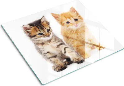 Produktbild von Tulup Glas Herdabdeckplatte Glaskeramikkochfeld-Abdeckung Spritzschutz Glasabdeckplatte Kochplattenabdeckung und Schneidebrett - Einteilig - 60x52 cm Katze Tier