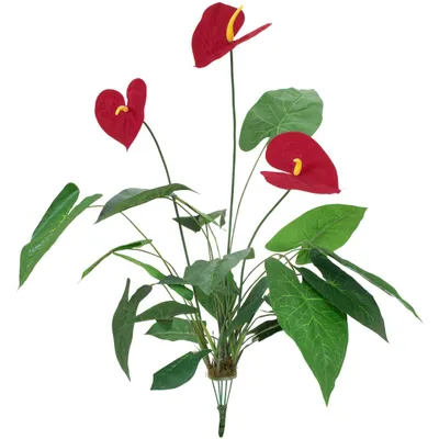 Obrázek produktu pro Europalms Anthurium künstlich 70cm 82530164
