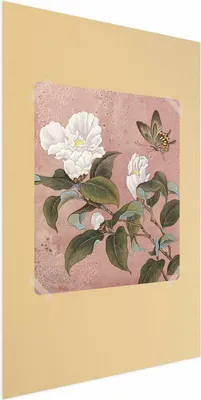 Produktbild von Posterpapier Poster - Azalea Flower 40x60 cm Blumen b-C-0321-ao-a