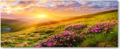 Produktbild von Tulup® Glas-Bild Wandbild aus Glas - 125x50 - Wandkunst - Wandbild hinter gehärtetem Sicherheitsglas - Dekorative Wand für Küche & Wohnzimmer - Landschaften - Sonnenuntergang Berg - Mehrfarbig