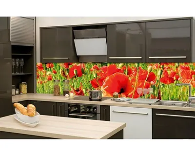 Zdjęcie produktu dla Fototapety Dimex do kuchni, samoprzylepne - Czerwone maki 60 x 260 cm