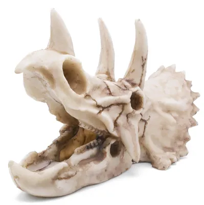 Image de Cachette pour poissons,Reproduction de tête de dinosaure, idéal pour terrariums et aquariums