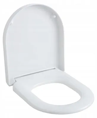 Produktbild von Ramm PRO PICO WC-Sitz mit Absenkautomatik, antibakteriell