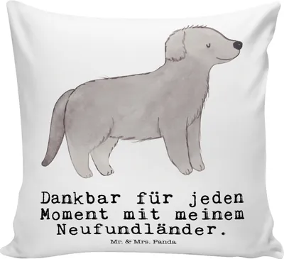 Produktbild von Mr. & Mrs. Panda Sofakissen Neufundländer Moment - Weiß - Geschenk, Newfoundland, Polster, kissen bedruckt, Deko, kuschelkissen 40x40, Dekokissen